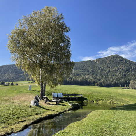 Ursprungsquelle Zeutschach  | © STG | Annette Krenkl