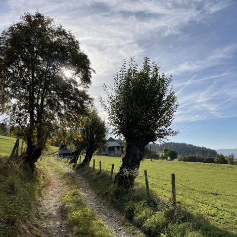Rotmeier Allee | © STG | Annette Krenkl