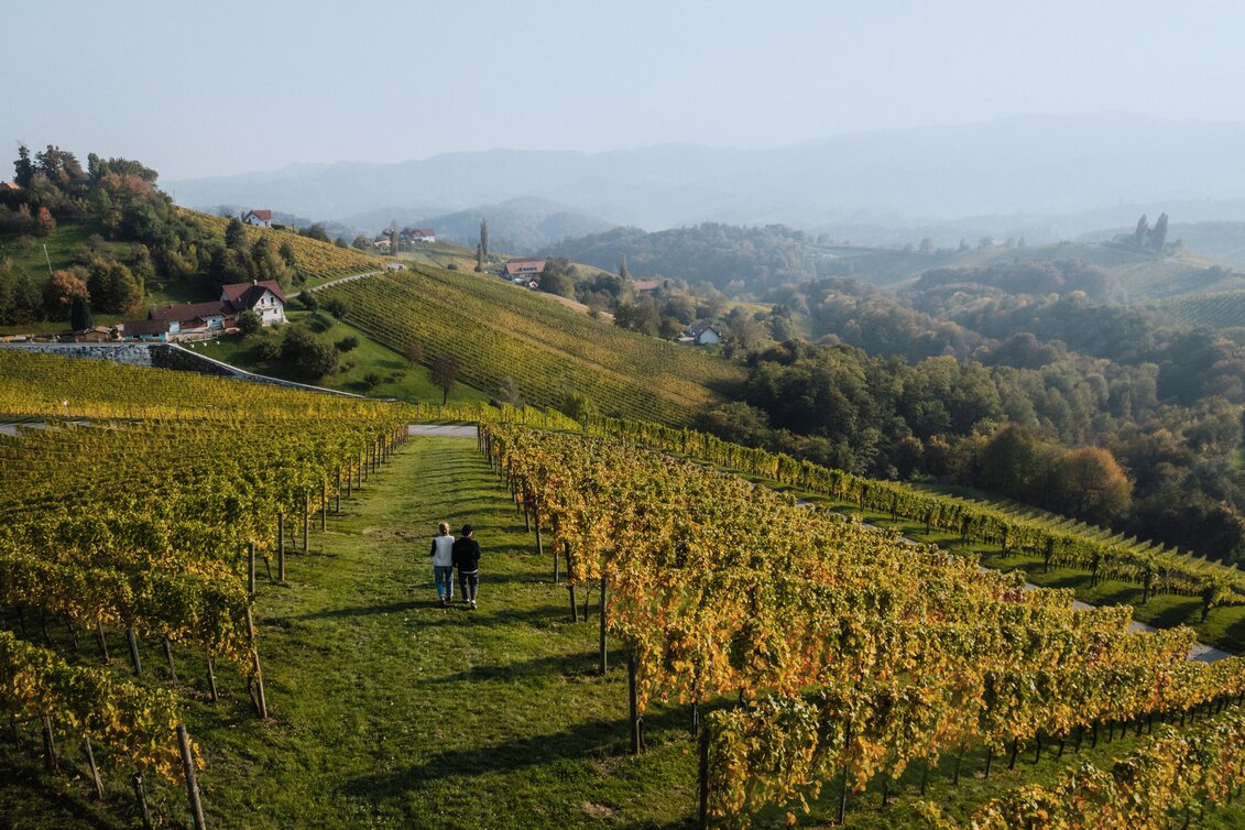 © TV Südsteiermark | cmvisuals