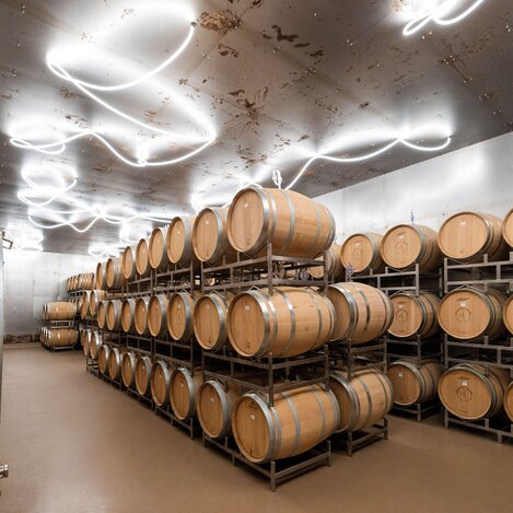 Weinkeller | © Krispel | BROBOTERS