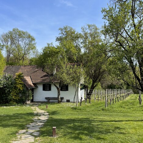 Idyllisches Winzerhaus | © Steiermark Tourismus | Lisa Anderle