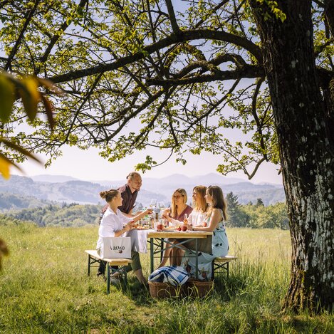 Verkostung im Grünen | © Vulcano | Bernhard Bergmann