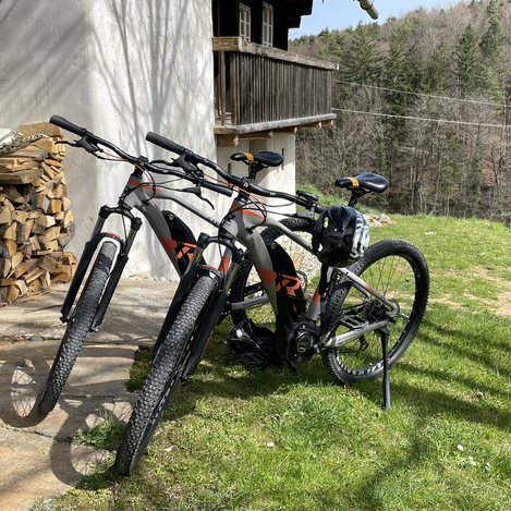 © STG | Elisabeth Perl