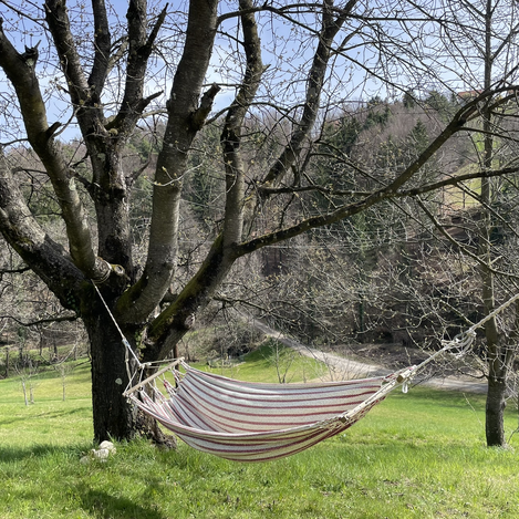 © STG | Elisabeth Perl