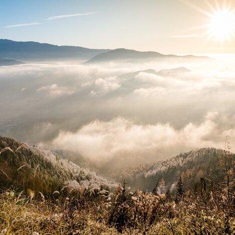 Winterwandern | © Region Graz | Mias Photoart