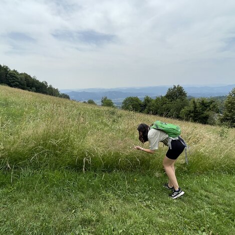 Auf der Suche nach dem Schmetterling | © Steiermark Tourismus | Lisa Anderle