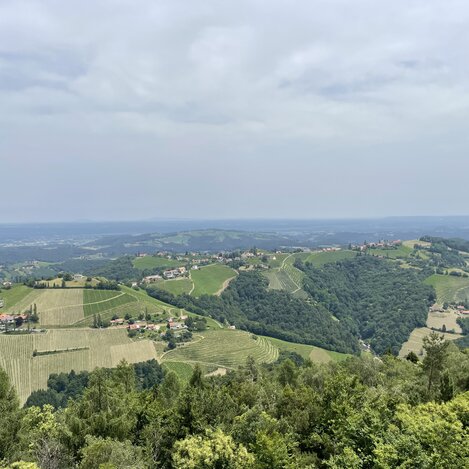 Ausblick von der Demmerkogelwarte | © Steiermark Tourismus | Lisa Anderle