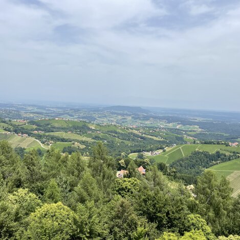 Ausblick von der Demmerkogelwarte | © Steiermark Tourismus | Lisa Anderle