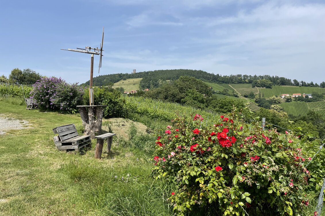 Blick zur Demmerkogelwarte | © Steiermark Tourismus | Lisa Anderle