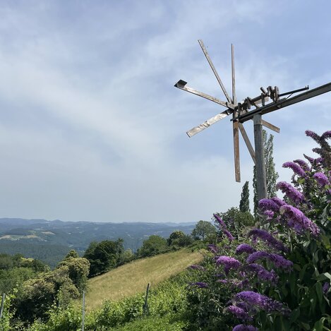 Ein Klapotetz | © Steiermark Tourismus | Lisa Anderle