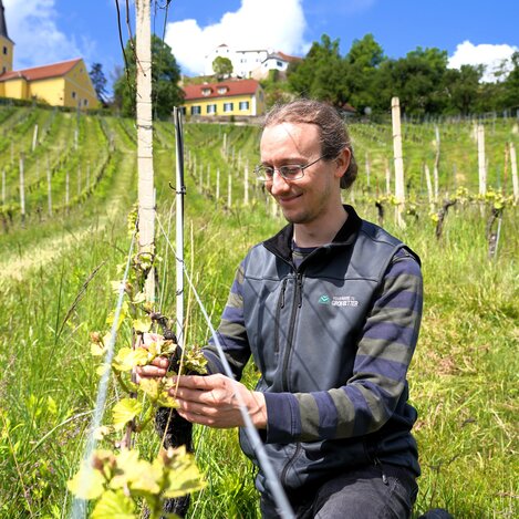 Weingut Winkler-Hermaden - Heimatleuchten - Tradition und Genuss - Ostern in der Steiermark | © ServusTV | Brigitte Erhart/Degn Film