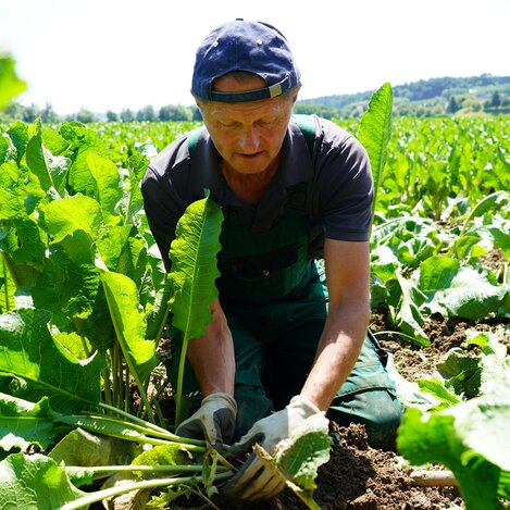 Krenbauer Franz Tappauf -  Heimatleuchten - Tradition und Genuss - Ostern in der Steiermark | © ServusTV | Degn Film