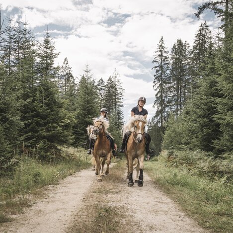 © www.stefanleitner.com