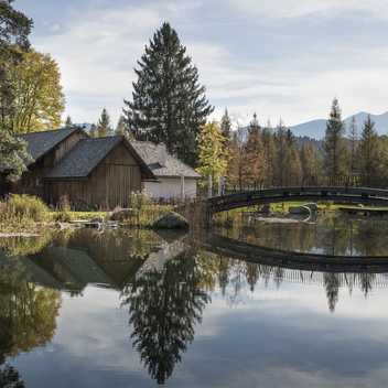 © Copyright Philip Platzer, All Rights Reserved | Philip Platzer