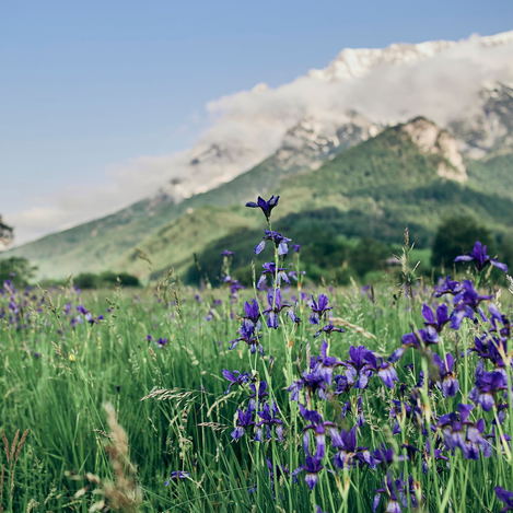 © Photo by Armin WalcherNOT FOR SALE.All rights reserved. | Armin Walcher