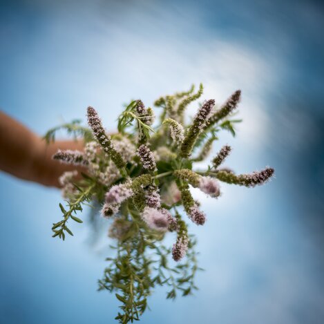 Kräuterstrauß mit Thymian, Rosmarin, Dille,... vor Thermalwasser  | © Steiermark Tourismus / ikarus.cc | Tom Lamm