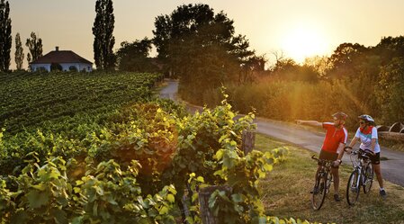 Radfahren in der Radregion Bad Radkersburg | © c TV Bad Radkersburg / Bernhard Bergmann