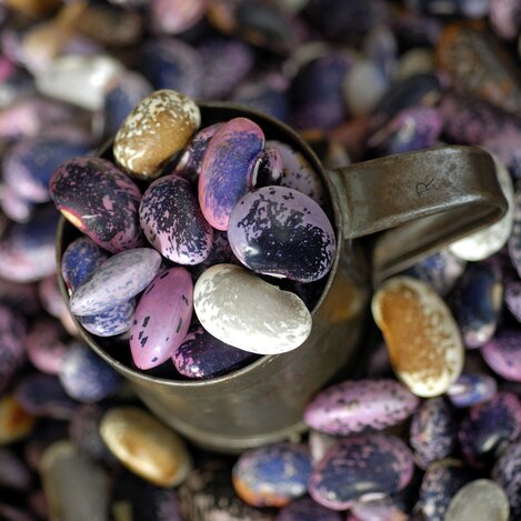 252005, CS1291 | © Steiermark Tourismus GmbH | Steiermark Tourismus GmbH