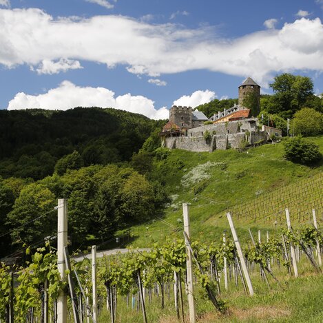 © Steiermark Tourismus / Herbert Raffalt