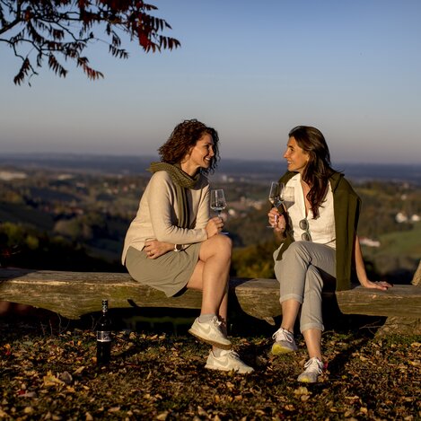 Buschenschank-Einkehr bei der Weinland Steiermark Radtour: Adam am Schererkogl,  Gamlitz | © Steiermark Tourismus / Tom Lamm | Tom Lamm