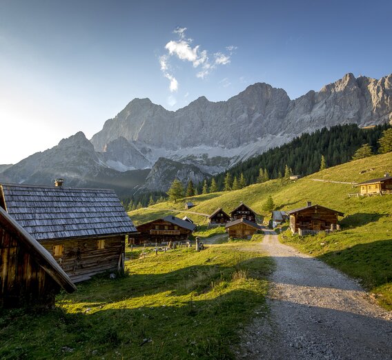 Neustattalm am Fuße des Dachsteins, Ramsau am Dachstein | © c Steiermark Tourismus / ikarus.cc | Tom Lamm