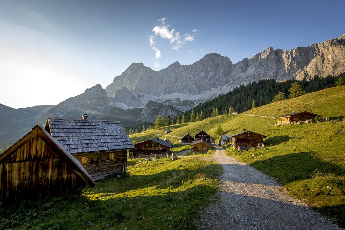 Neustattalm am Fuße des Dachsteins, Ramsau am Dachstein | © c Steiermark Tourismus / ikarus.cc | Tom Lamm