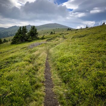 Wanderroute "Vom Gletscher zum Wein" (Etappe 16, Südroute) | © Steiermark Tourismus / Martina Traisch
