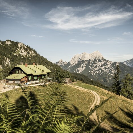 Grabneralmhaus im Nationalpark Gesäuse | © Nationalpark Gesäuse / Stefan Leitner | Stefan Leitner