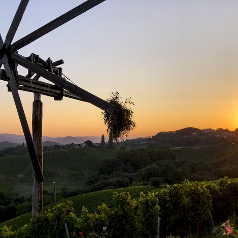 Südsteiermark: Wanderroute "Vom Gletscher zum Wein" (Etappe 24, Südroute) | © Steiermark Tourismus / Martina Traisch