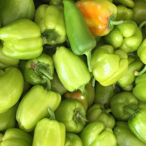 Paprika am Bauernmarkt Kaiser-Josef-Platz | © STG Julia Einfalt  | © STG Julia Einfalt 