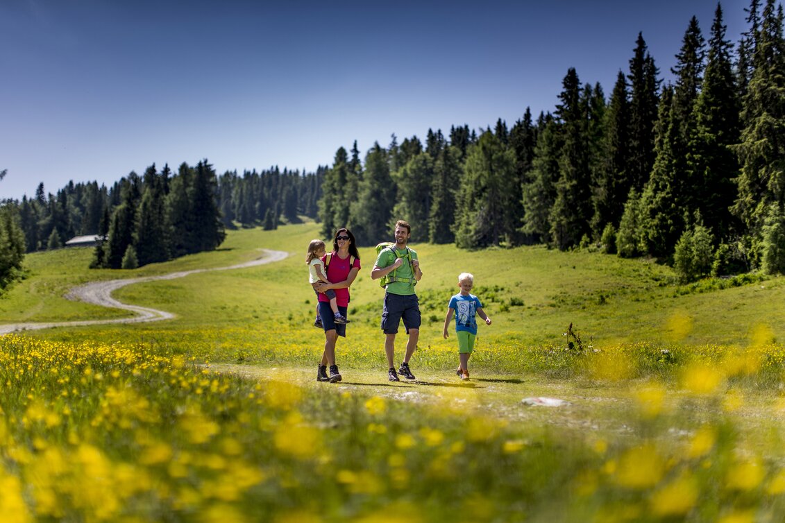 © Steiermark Tourismus / ikarus.cc | Tom Lamm