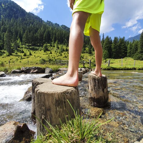 Almerlebnis auf der Eselsberger Alm (bei Oberwölz-Lachtal) | © Steiermark Tourismus / Günther Steininger