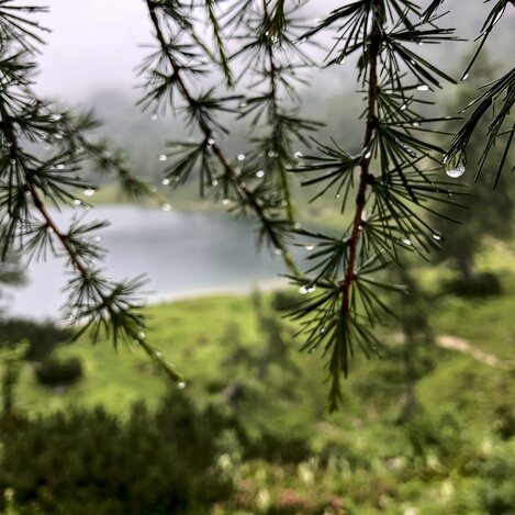Erfrischung auf der Alm  | © Steiermark Tourismus / Manfred Polansky