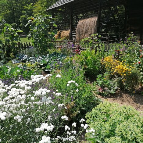 Einer der vielen Bauerngärten | © Österreichisches Freilichtmuseum / UMJ | © Österreichisches Freilichtmuseum / UMJ