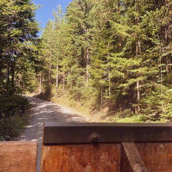 Rückfahrt mit dem Bärliexpress | Renner/Valda | © Steiermark Tourismus