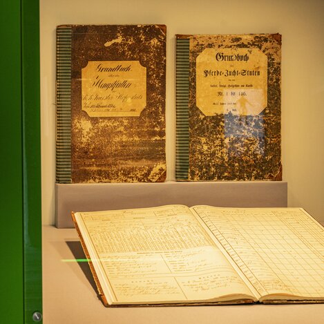 Die historischen Zuchtbücher gehören zu den Höhepunkten der Ausstellung  | © Spanische Hofreitschule - Lipizzanergestüt Piber | Rene van Bakel  | © Spanische Hofreitschule - Lipizzanergestüt Piber