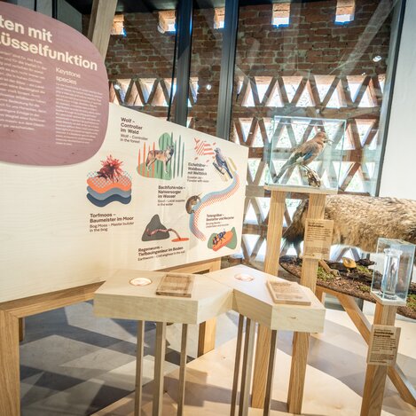 Haus der Biodiversität | © STG | Jesse Streibl