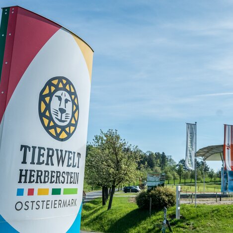 Stationen | © STG | Jesse Streibl