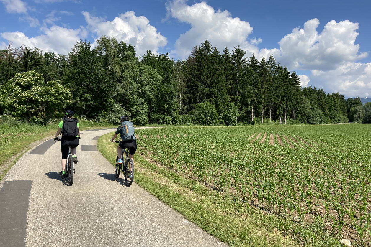 Radeln bei strahlendem Sonnenschein | © STG | Radlingmaier Elisabeth 