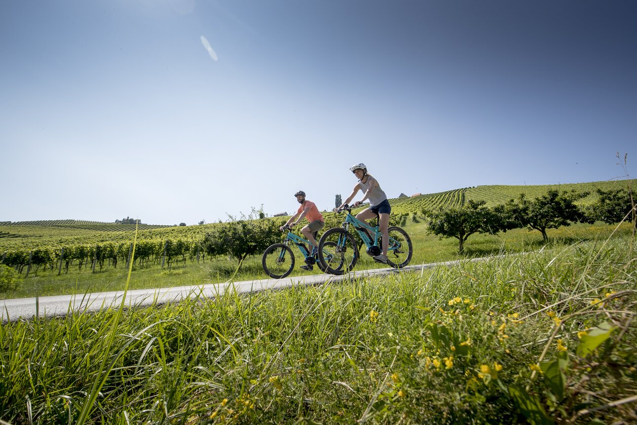 Radfahren in der Südsteiermark | © Südsteiermark | Tom Lamm