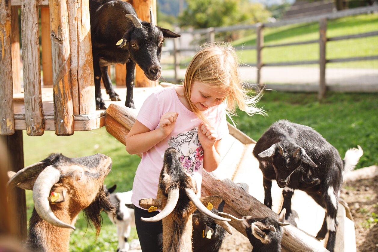 Am Bauernhof gibt es für Kinder viel zu entdecken | © Urlaub am Bauernhof | Punkt & Komma