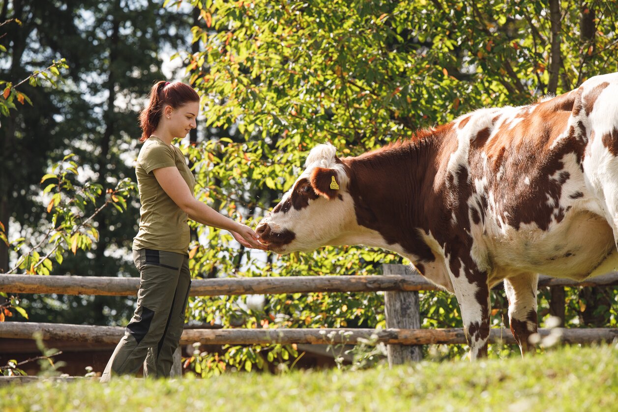 Den Alltag am Bauernhof hautnah miterleben | © Urlaub am Bauernhof | Punkt & Komma