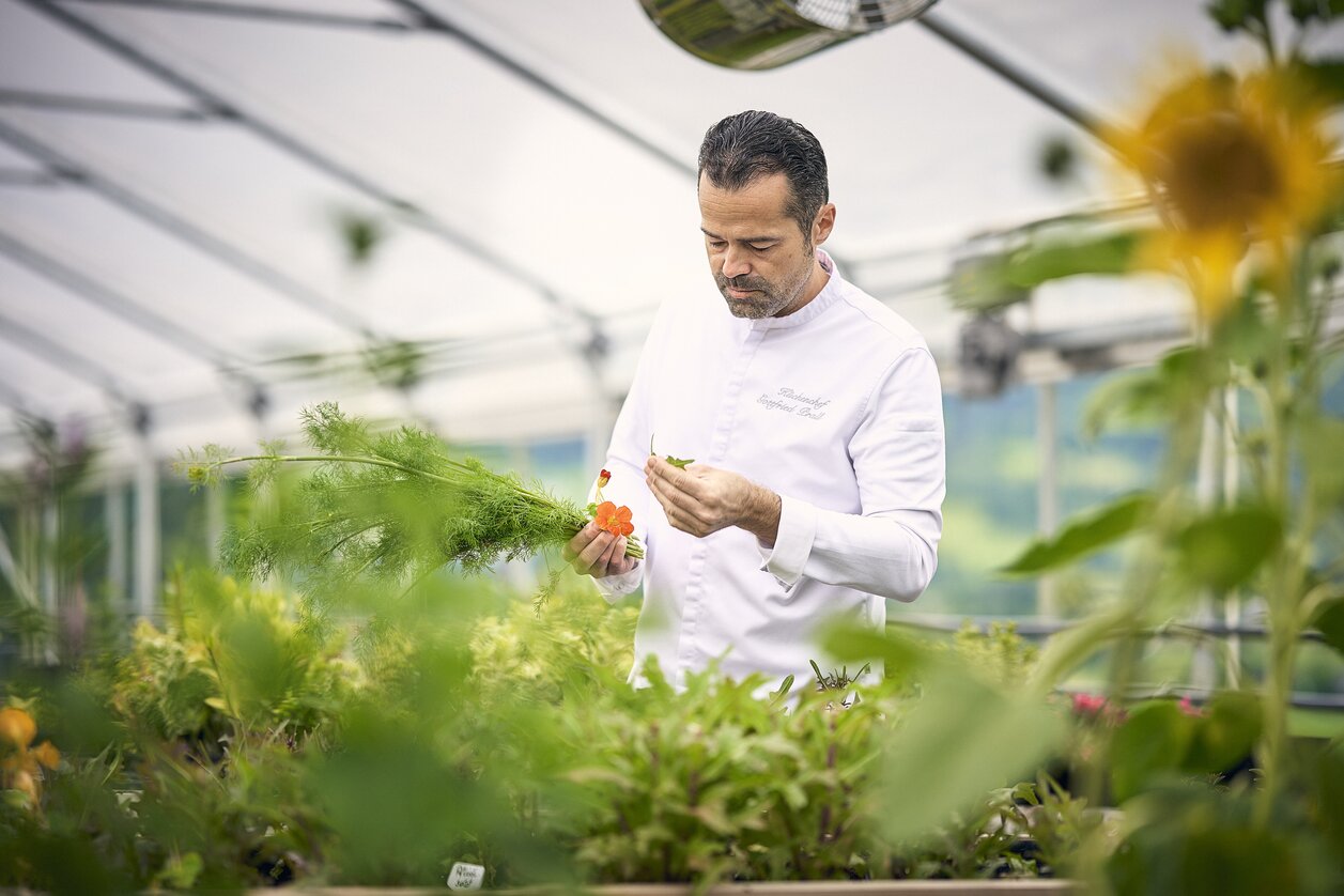 Das hauseigene Gewächshaus mit frischem Gemüse | © IMLAUER Hotel Schloss Pichlarn | Thomas Sattler