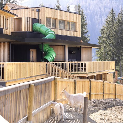 Waldpark Hochreiter | © Waldpark Hochreiter | Harald Eisenberger