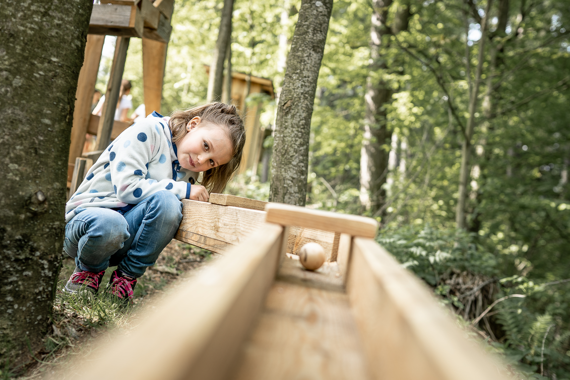 Holzkugelbahn im Waldpark | © TV Naturpark Almenland | Pretterhofer