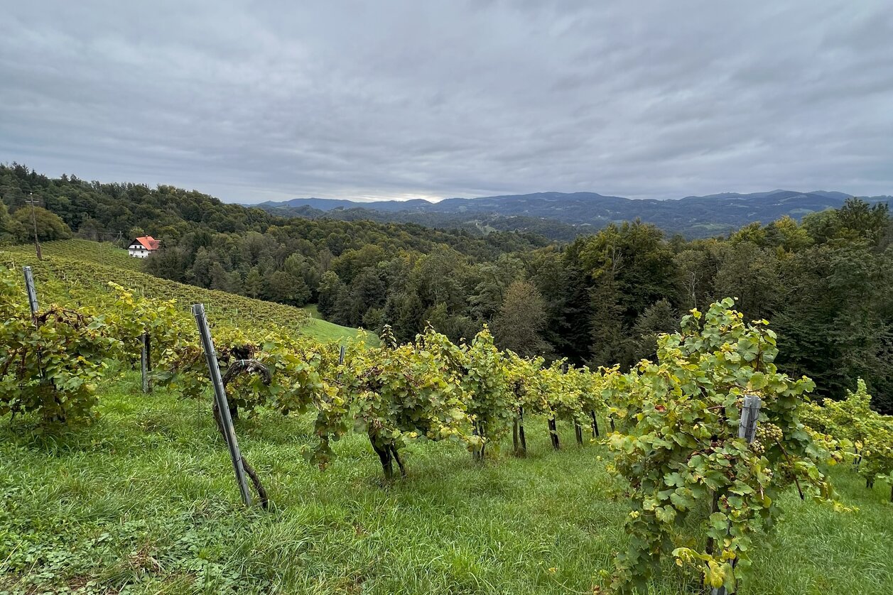 © STG | Sarah Valda