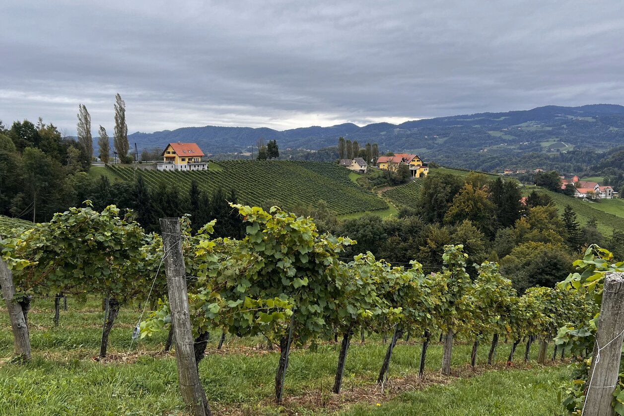 © STG | Sarah Valda