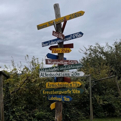 © STG | Sarah Valda