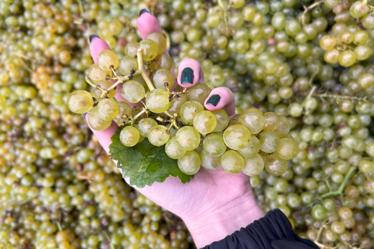 © STG | Sarah Valda