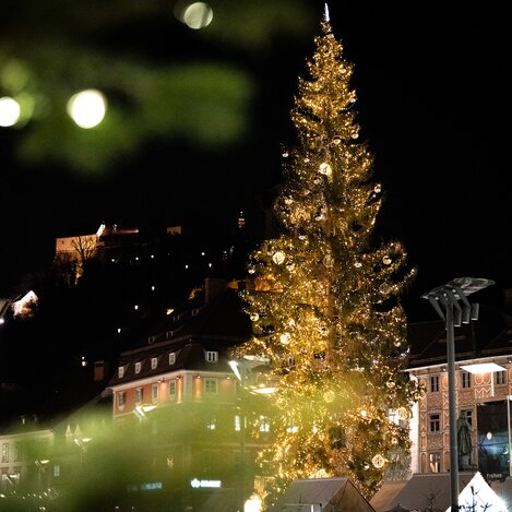 Der Grazer Christbaum am Hauptplatz | © STG | Jesse Streibl